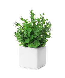 Photo of Beautiful artificial plant in flower pot isolated on white