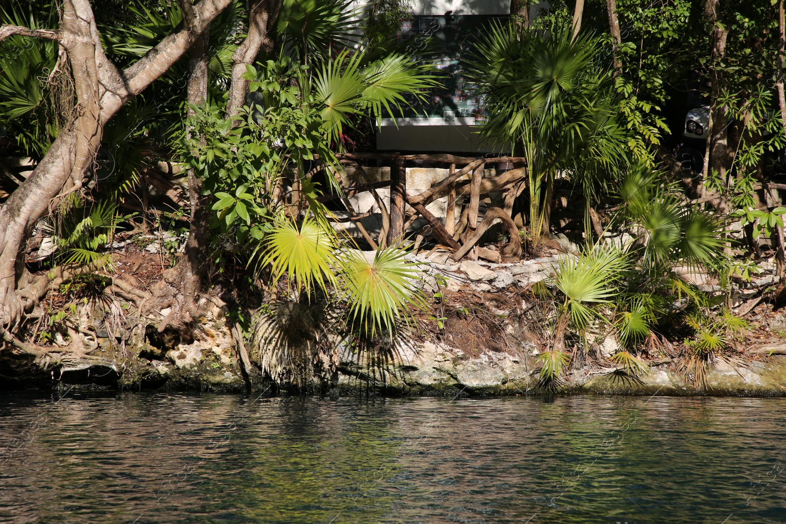 Photo of Picturesque view of beautiful lake in jungle