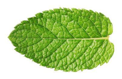 Photo of Fresh green mint leaf isolated on white, top view