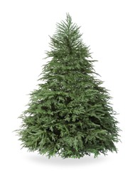 Photo of Beautiful green Christmas tree isolated on white