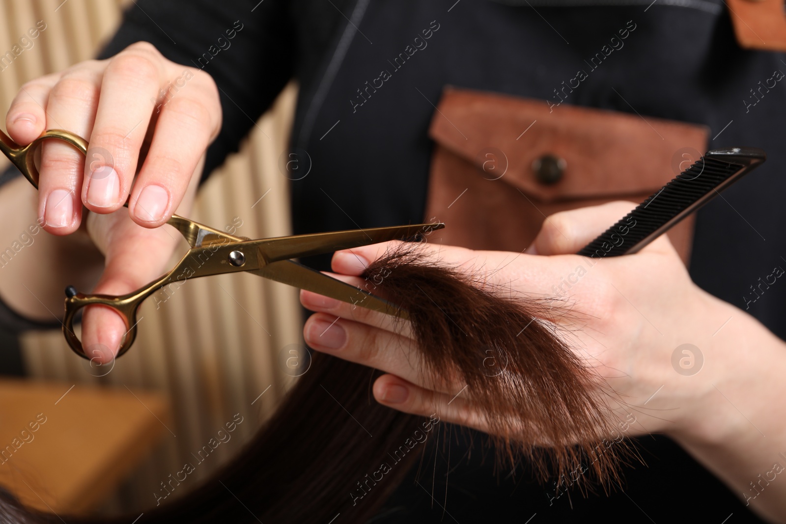 Photo of Hairdresser cutting client's hair with scissors in salon, closeup