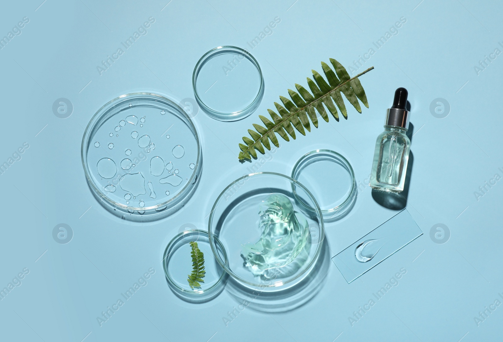 Photo of Flat lay composition with cosmetic product, fern and laboratory glassware on light blue background