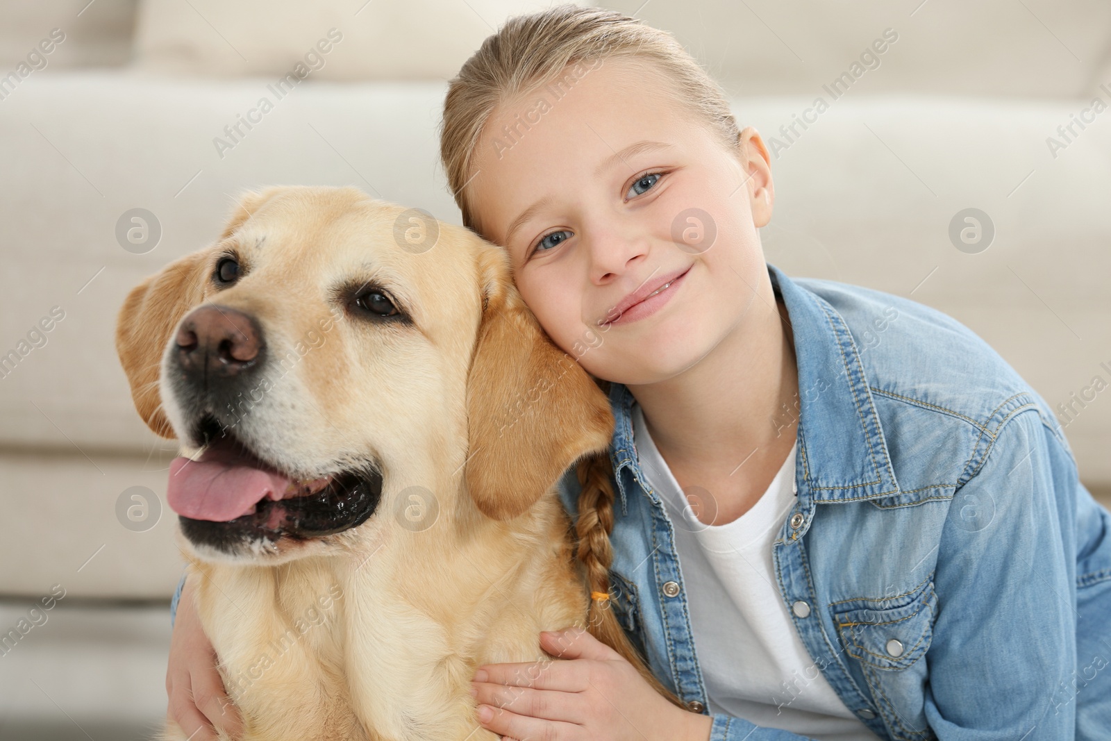 Photo of Cute child with her Labrador Retriever indoors. Adorable pet