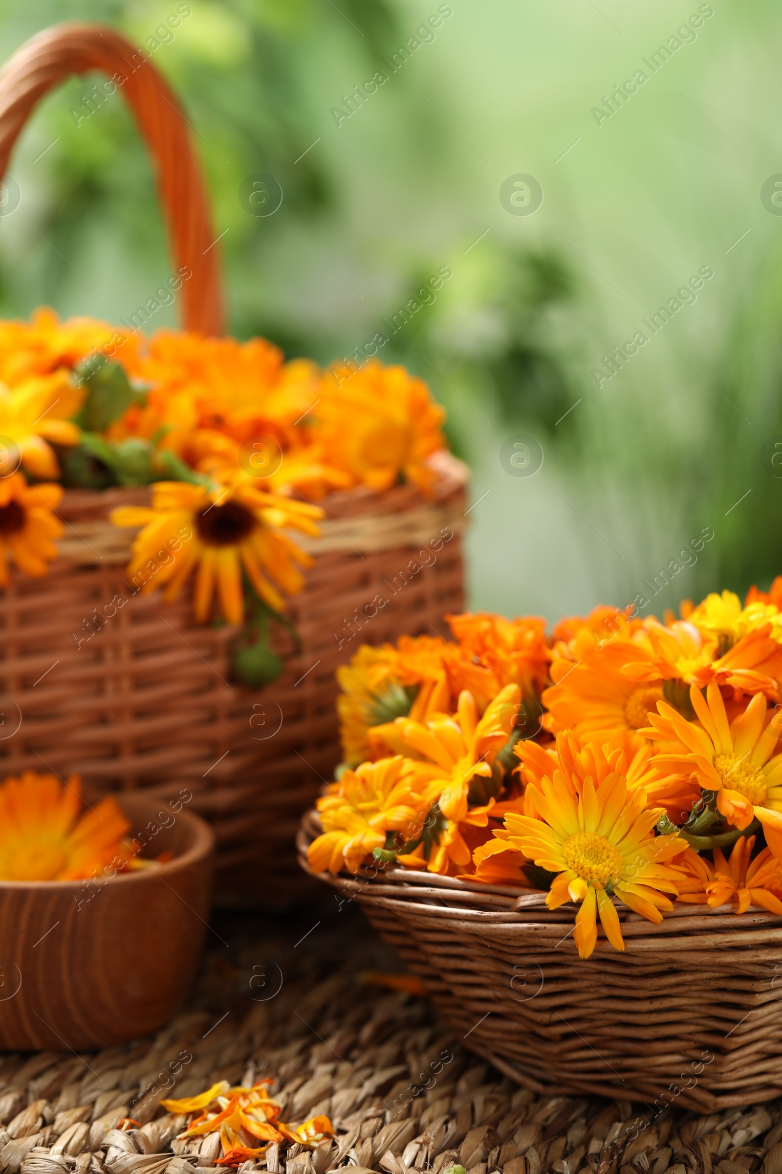 Photo of Beautiful fresh calendula flowers on table against blurred green background