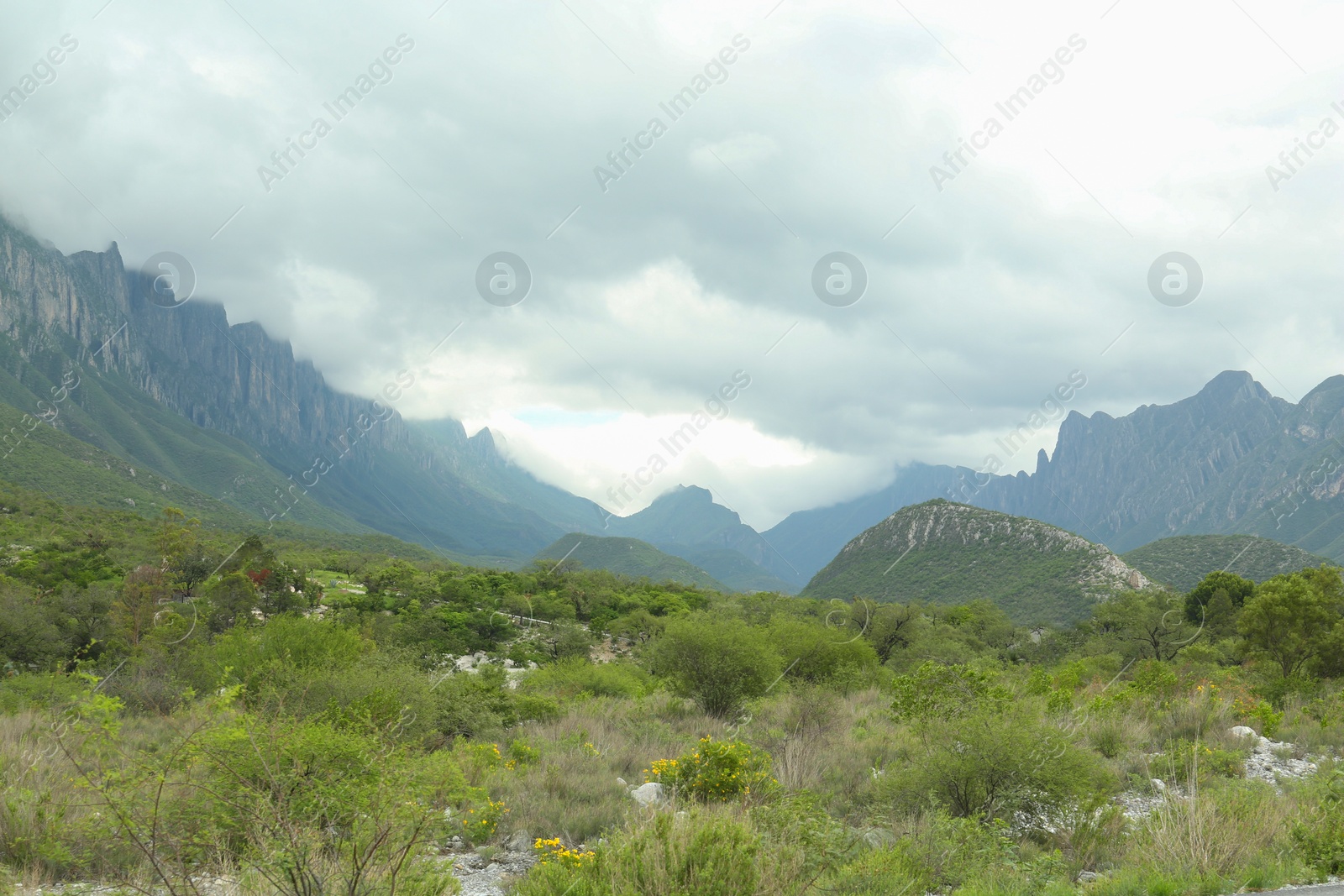 Photo of Picturesque landscape with high mountains and fog under cloudy sky