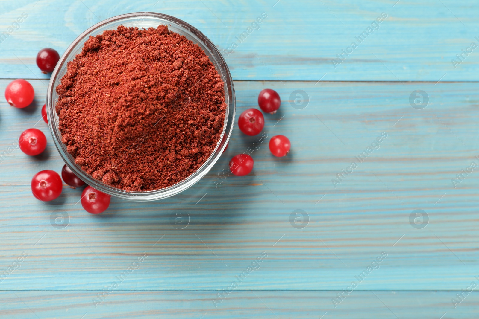 Photo of Cranberry powder in bowl and fresh berries on light blue wooden table, top view. Space for text