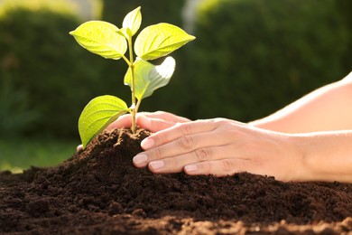 Photo of Woman planting tree seedling in soil outdoors, closeup