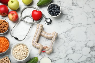 Anatomical model of large intestine, stethoscope and different organic products on white marble background, flat lay. Space for text