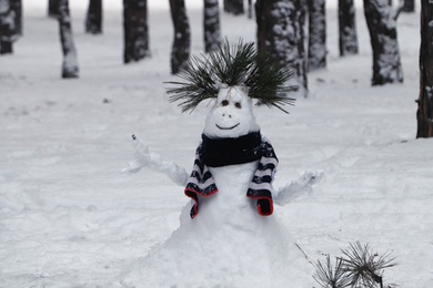 Photo of Funny snowman with smiley face in winter forest