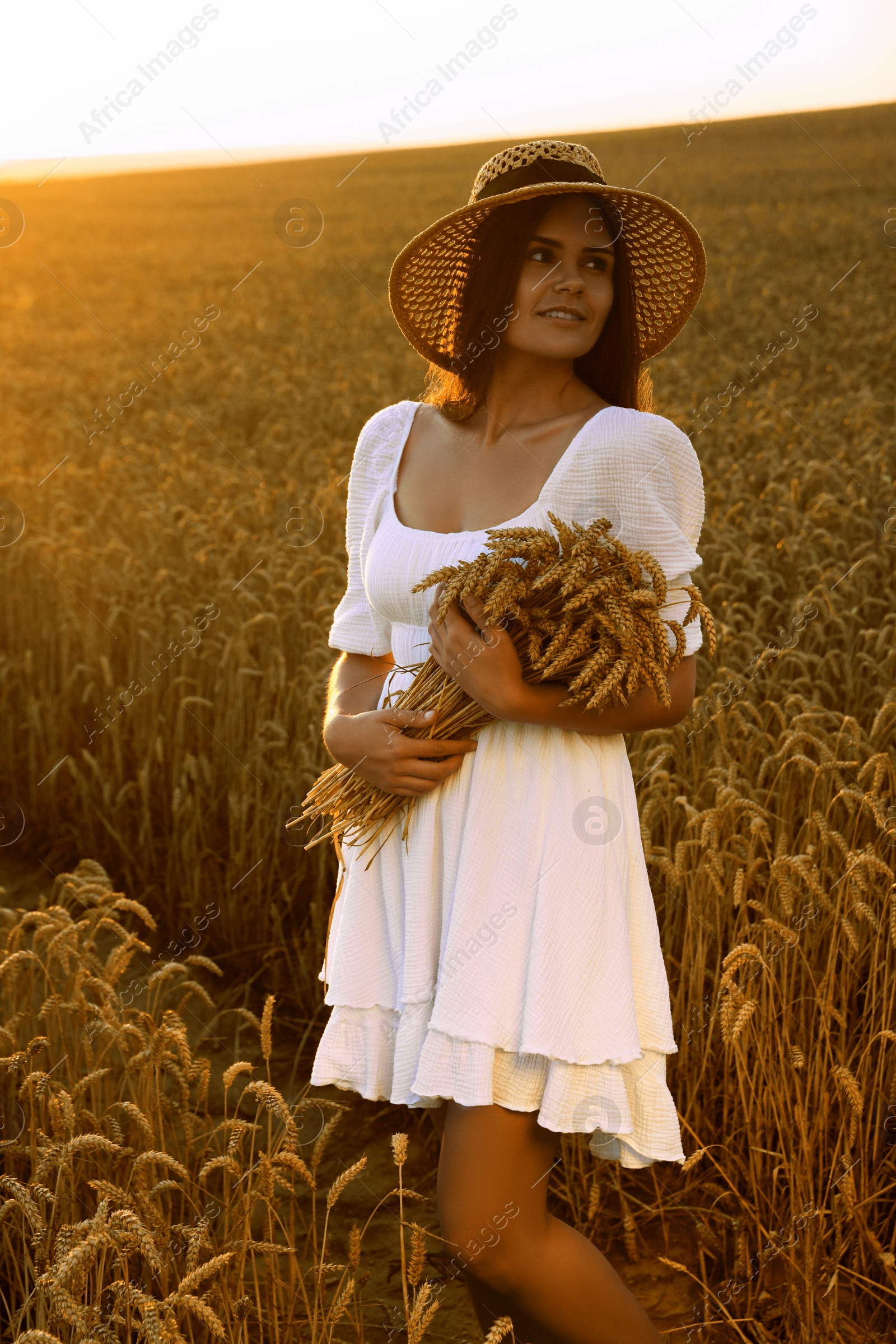 Photo of Beautiful young woman with bunch of wheat ears in field on sunny day