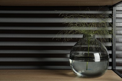 Decorative vase with plant on shelf, space for text