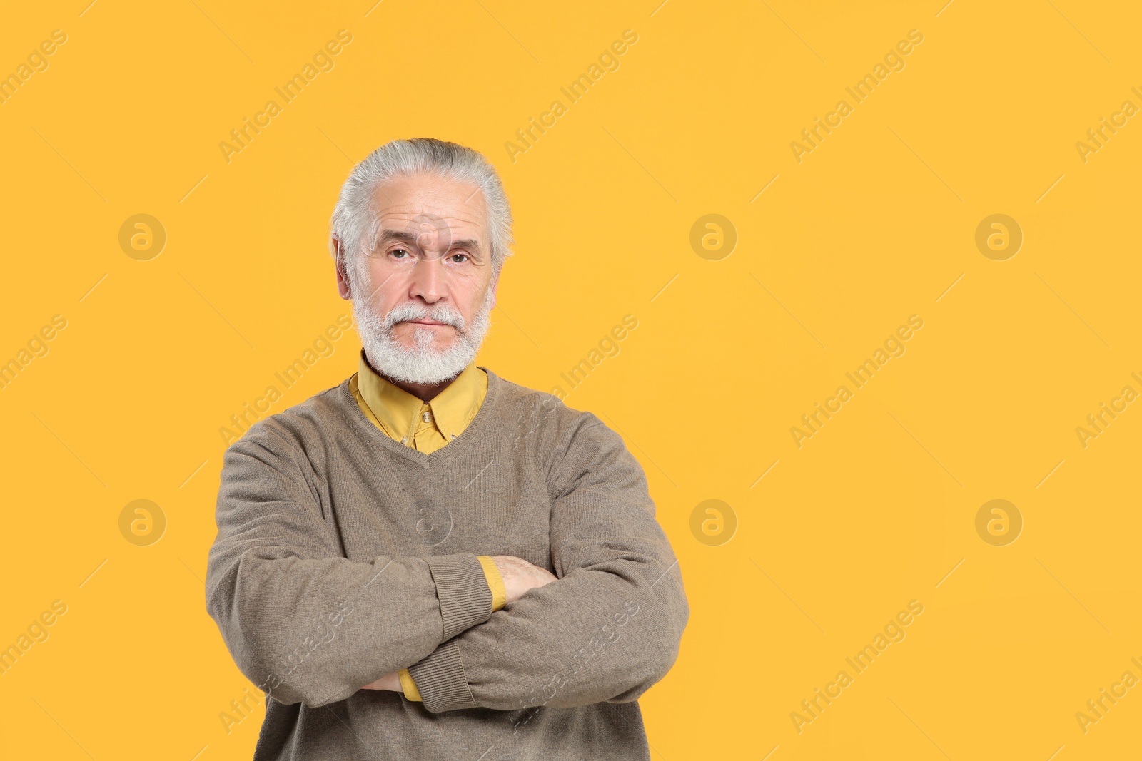 Photo of Portrait of handsome senior man on orange background. Space for text