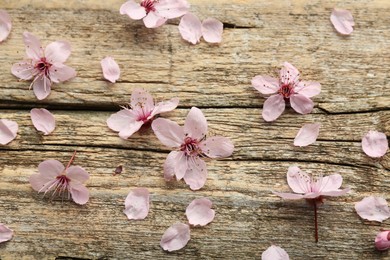 Photo of Spring blossoms and petals on wooden table, flat lay