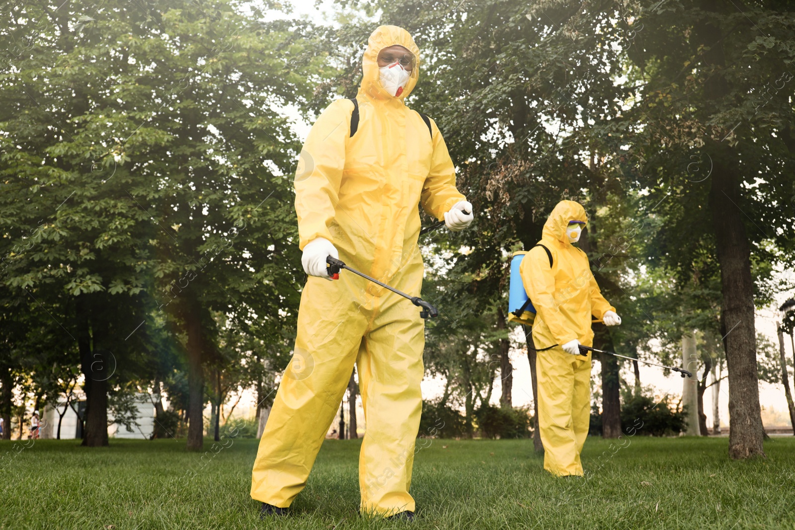 Photo of Workers spraying pesticide onto lawn outdoors. Pest control