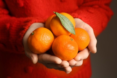 Woman in red pullover holding fresh tangerines, closeup