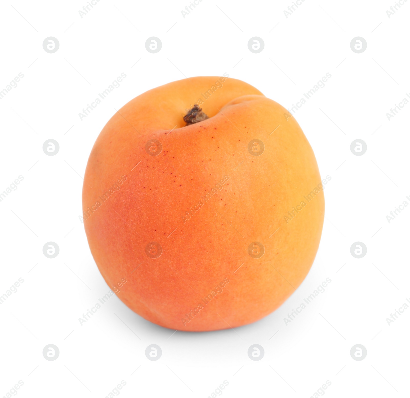 Photo of Delicious ripe sweet apricot isolated on white