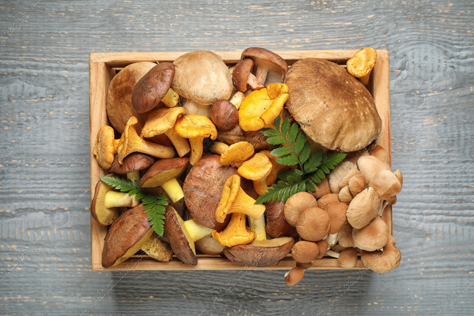 Photo of Box with different mushrooms on grey wooden background, top view