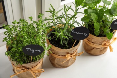 Photo of Different aromatic potted herbs on windowsill indoors, closeup
