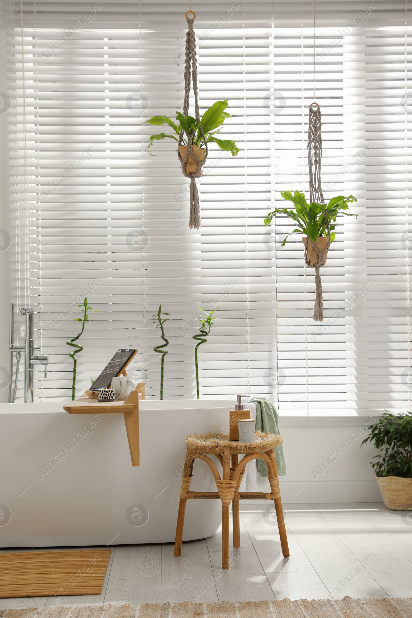 Photo of Stylish white tub and green houseplants in bathroom. Interior design