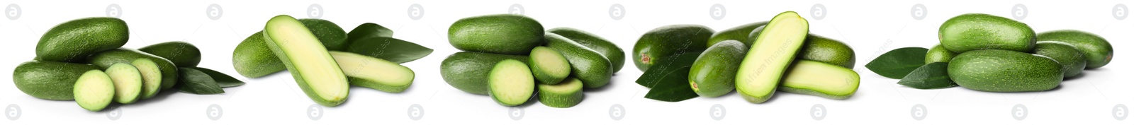 Image of Set with fresh seedless avocados on white background. Banner design