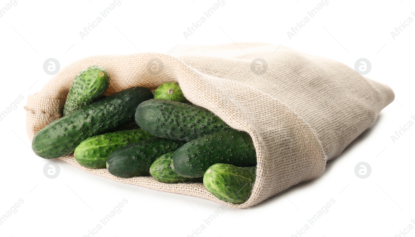 Photo of Fresh ripe cucumbers in sack on white background