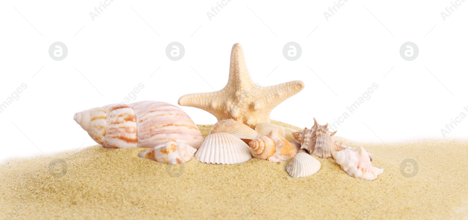 Photo of Beautiful exotic sea shells, starfish and sand on white background