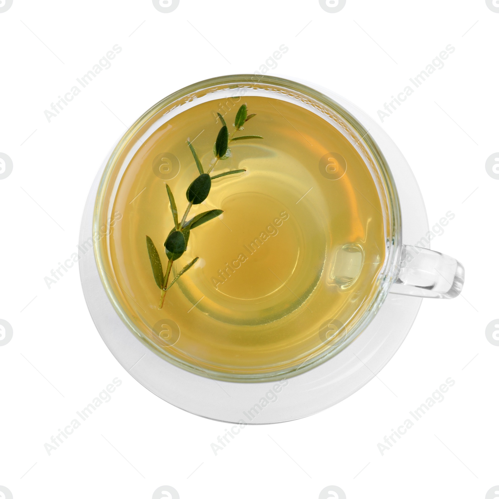 Photo of Cup of green tea with eucalyptus leaves on white background, top view