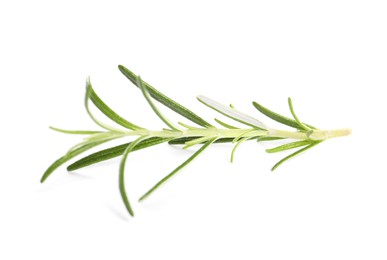 Photo of Sprig of fresh rosemary isolated on white