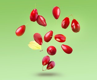 Image of Fresh red dogwood berries and leaf falling on green background