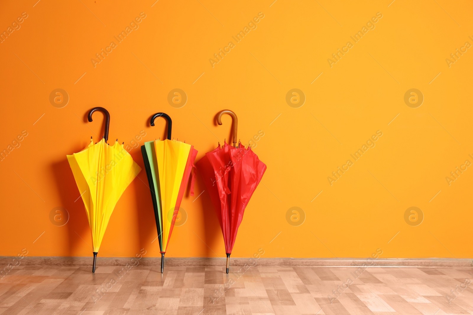 Photo of Beautiful umbrellas on floor near color wall with space for design