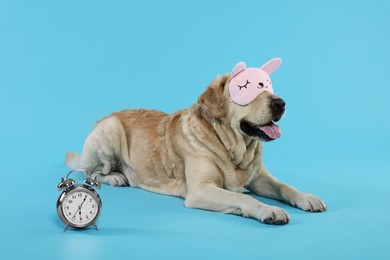 Photo of Cute Labrador Retriever with sleep mask and alarm clock resting on light blue background