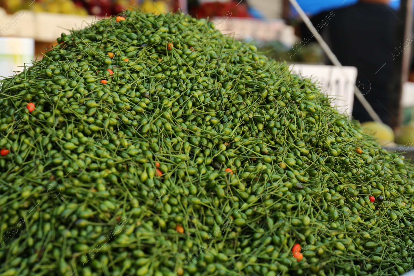 Photo of Heap of fresh delicious chiltepin at market