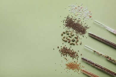 Photo of Test tubes with various spices on pale green background, flat lay. Space for text