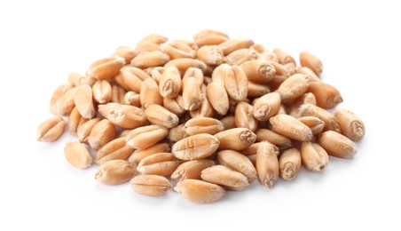 Photo of Pile of wheat grains on white background