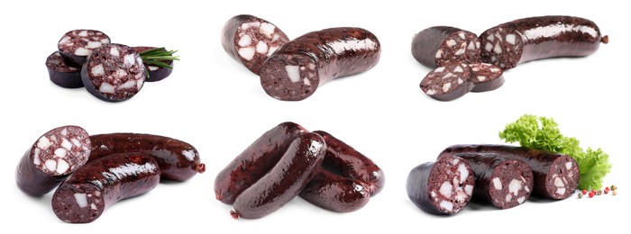 Set with tasty blood sausages on white background. Banner design