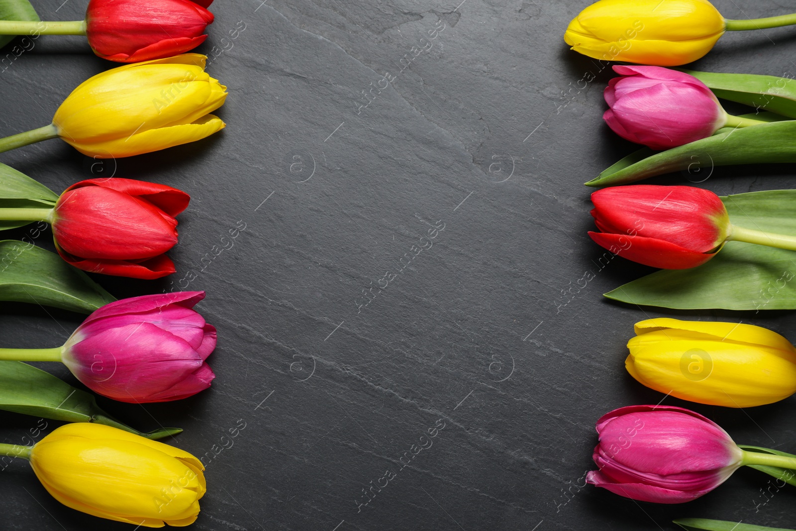 Photo of Beautiful colorful tulip flowers on black table, flat lay. Space for text