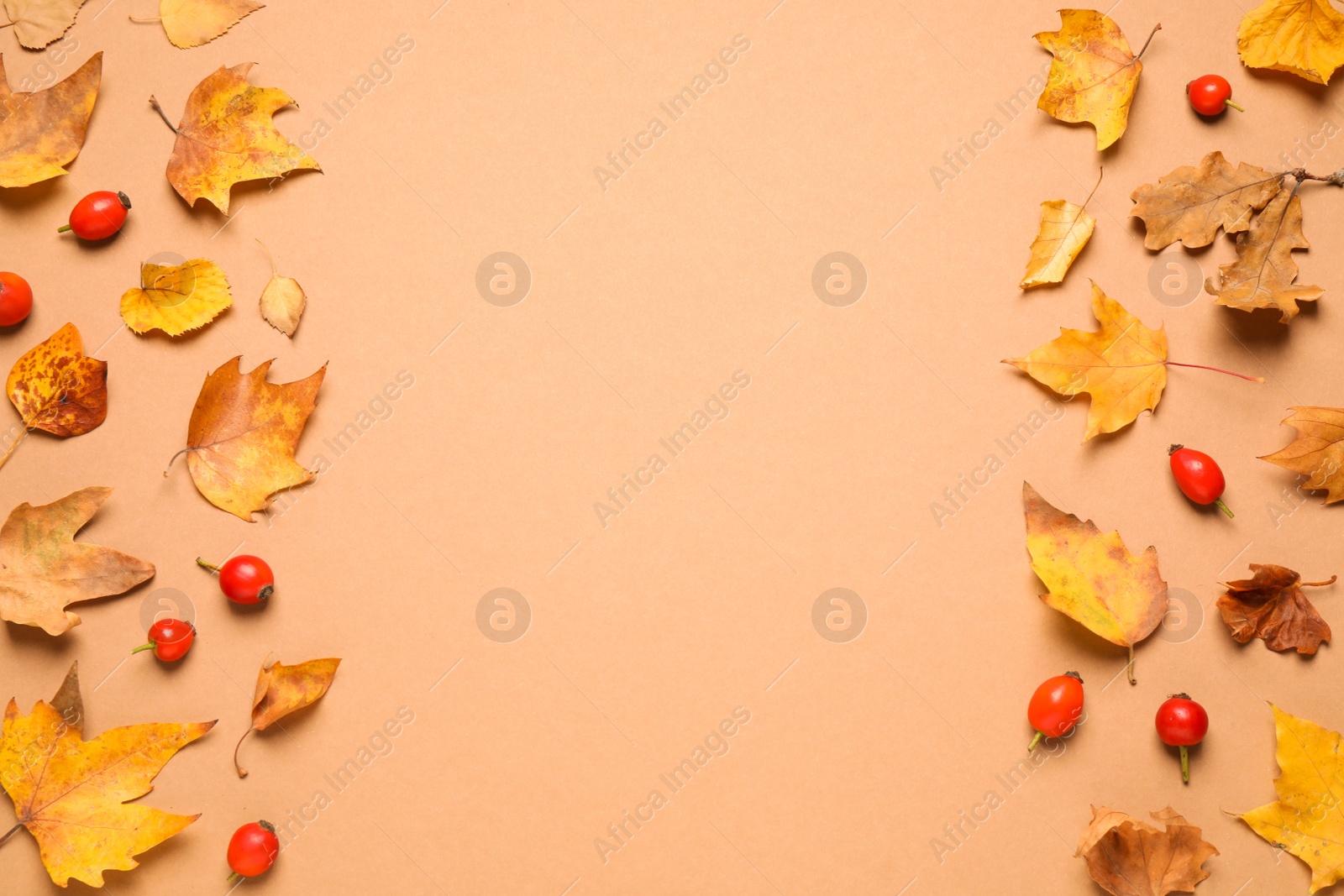 Photo of Flat lay composition with autumn leaves on beige background, space for text