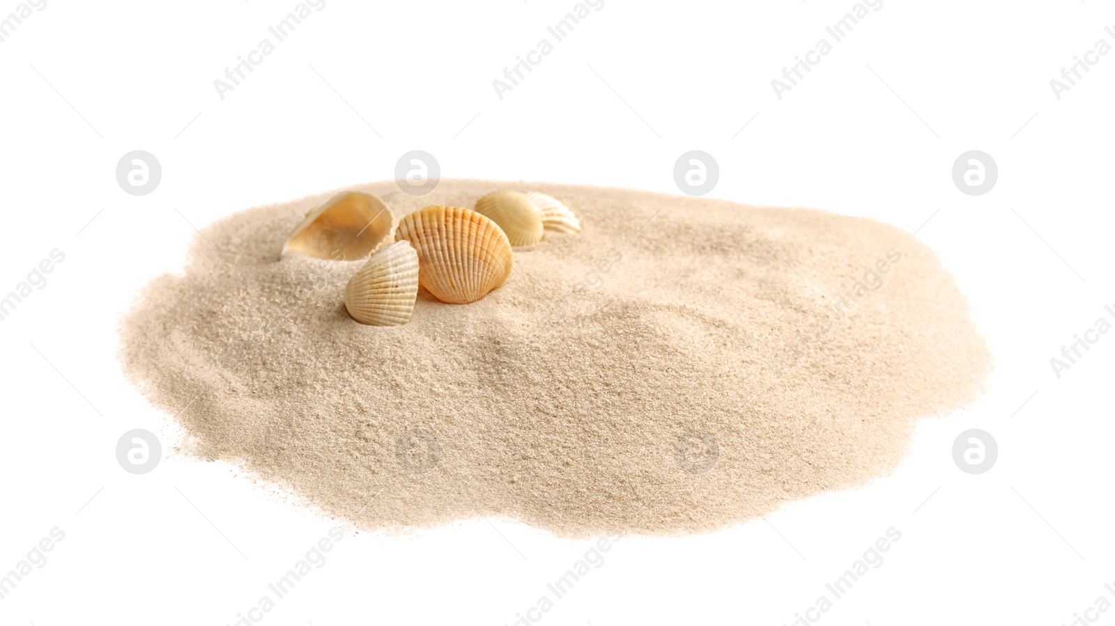 Photo of Pile of beach sand with sea shells isolated on white