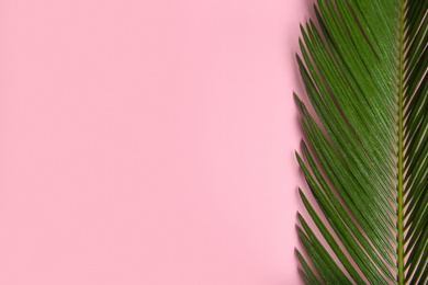 Flat lay composition with tropical leaves on color background