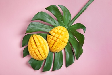 Flat lay composition with cut mango and monstera leaf on color background