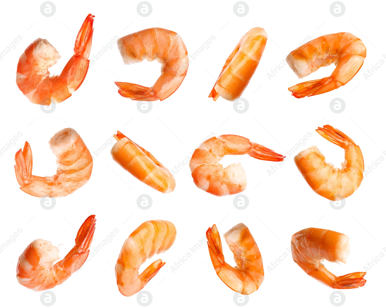 Image of Set of delicious freshly cooked shrimps on white background