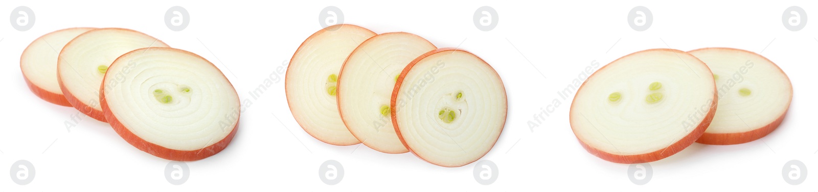 Image of Set of onion slices on white background. Banner design