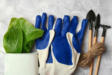Gardening gloves, tools and houseplant on light grey marble table, flat lay