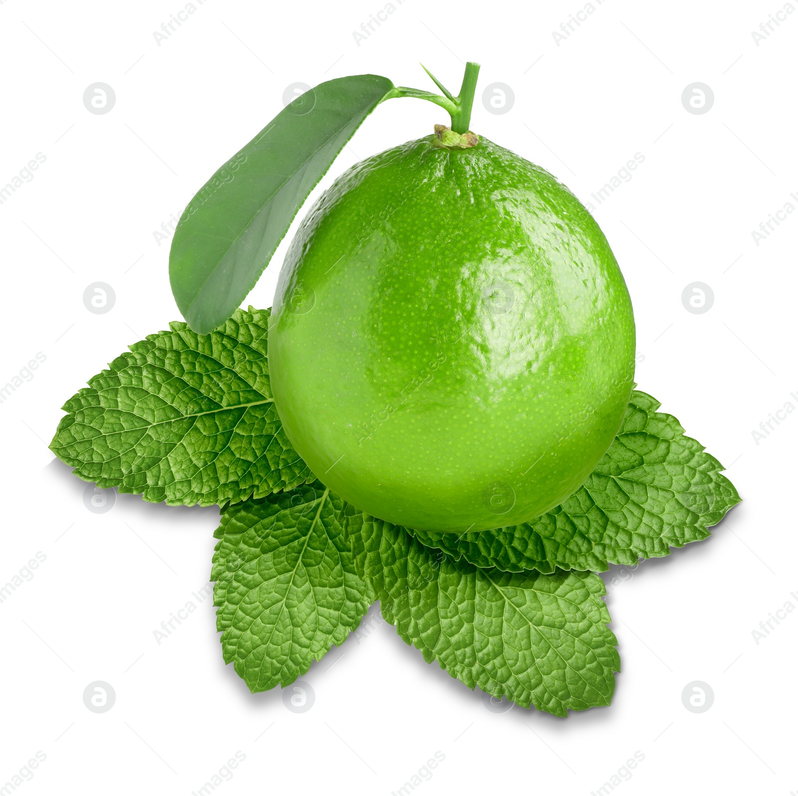 Image of Fresh ripe lime and green mint leaves isolated on white