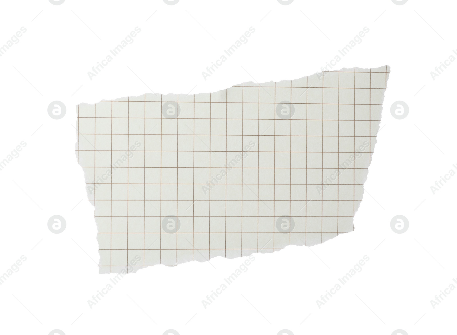 Photo of Piece of blank notebook paper isolated on white. Space for design