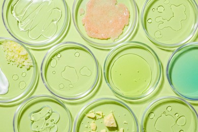 Flat lay composition with Petri dishes on light green background