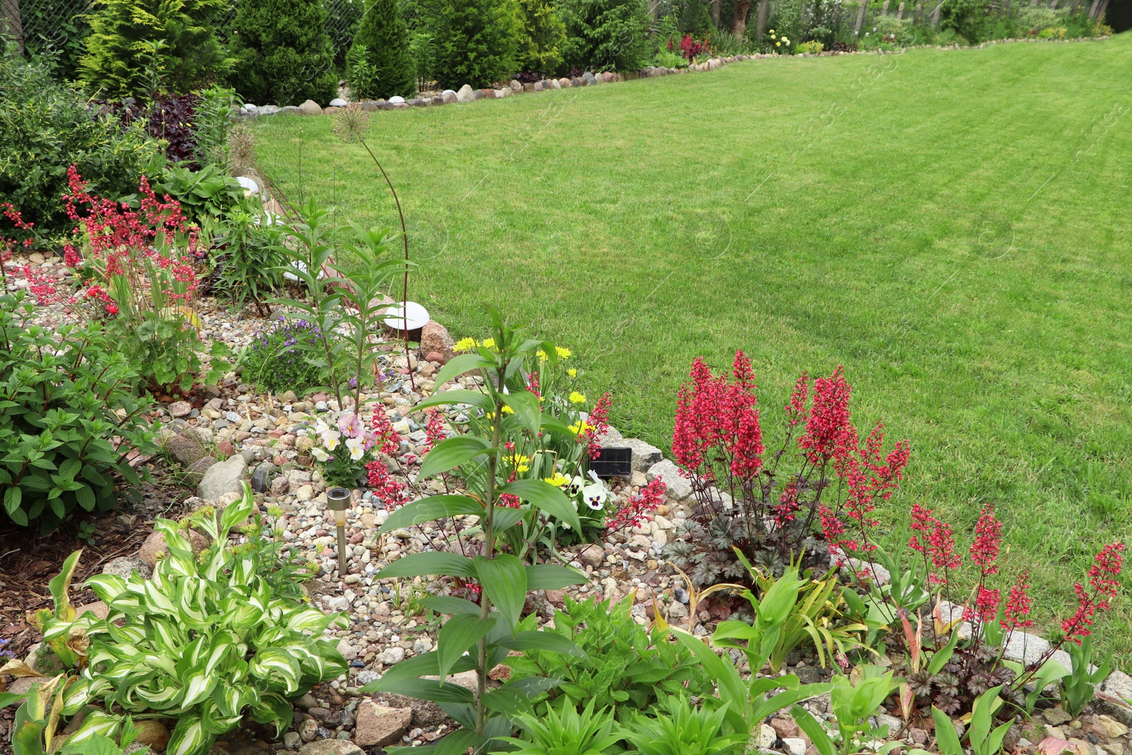 Photo of Beautiful flowerbed with different plants outdoors. Gardening and landscaping