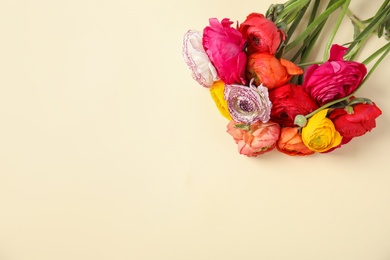 Photo of Beautiful ranunculus flowers on color background, top view. Space for text