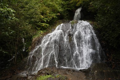 Picturesque view of small waterfall in forest