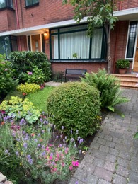 Photo of Beautiful flowerbed in front of brick house. Landscape design